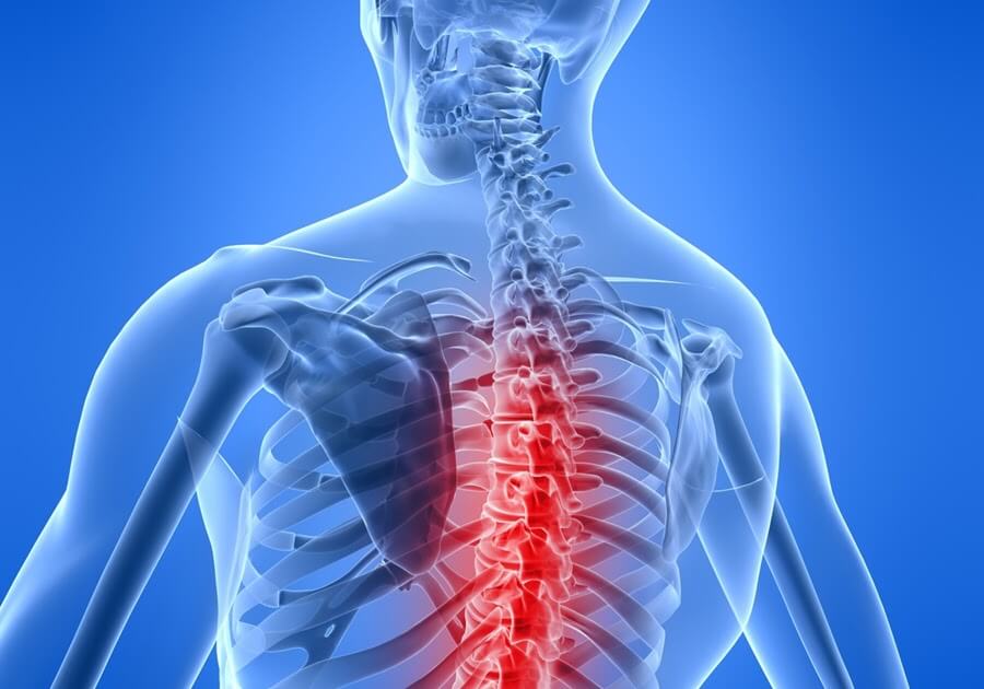 Программа профилактики протрузий и грыж